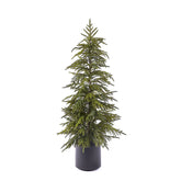 EDG - Enzo De Gasperi Albero Cryptomeria Real Touch con Vaso H120 cm