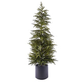 EDG - Enzo De Gasperi Albero Cryptomeria Real Touch con Vaso H152 cm