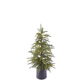 EDG - Enzo De Gasperi Albero Cryptomeria Real Touch con Vaso H90 cm