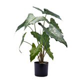 Pianta di Alocasia Artificiale Con Vaso H58 - 232930