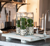 Bomboniera Green - Alga Marimo in Cilindro di Vetro - marimo-cilinder