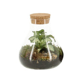 Bomboniera Green | Terrarium Laborantin - HAR_KTRP00