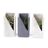 Bomboniere Green: Piantine Grasse in Vasetto di Design Concrete - HAR_KAOQ00