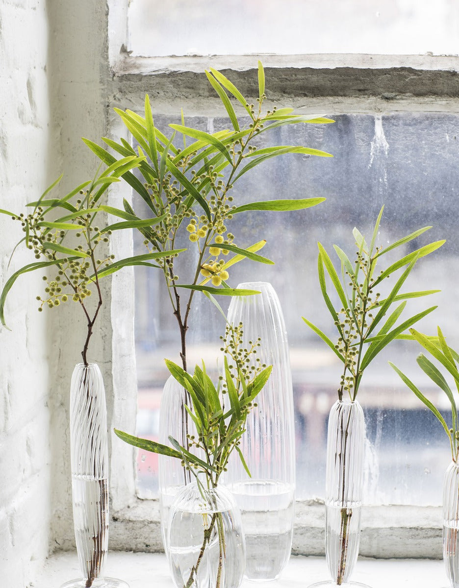 Vaso Bonseki : Vasi in vetro di design - B0818001