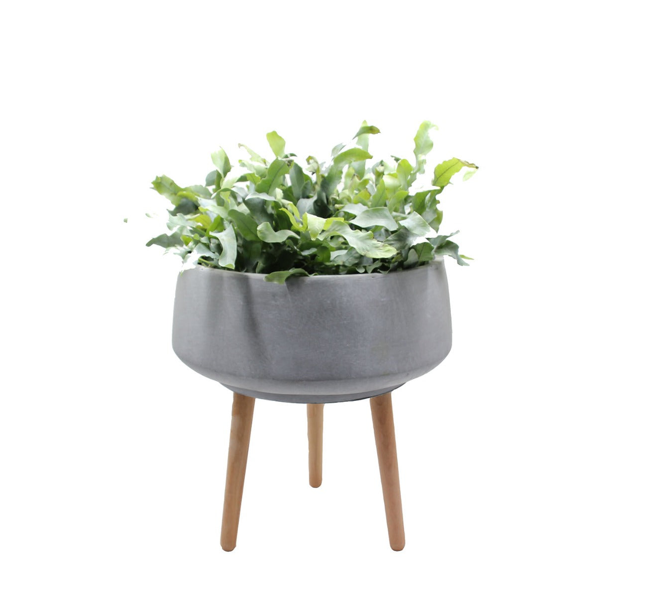 Vaso ciotola in cemento e resina su piedi in legno H46 - 8420005-L