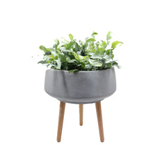 Vaso ciotola in cemento e resina su piedi in legno H46 - 8420005-L