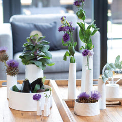 Ciotola Poetic Space - CONFIG0341