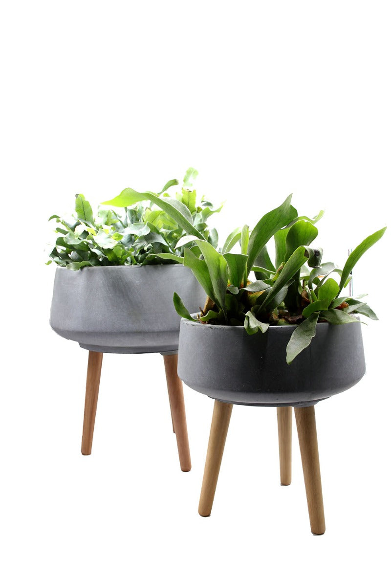 Vaso ciotola in cemento e resina su piedi in legno - CONFIG0169