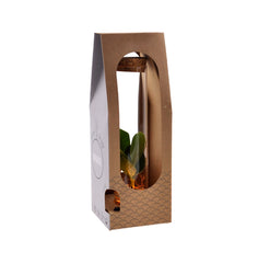 Clusia Idro in provetta di vetro su base LED - clusia-provetta-letta