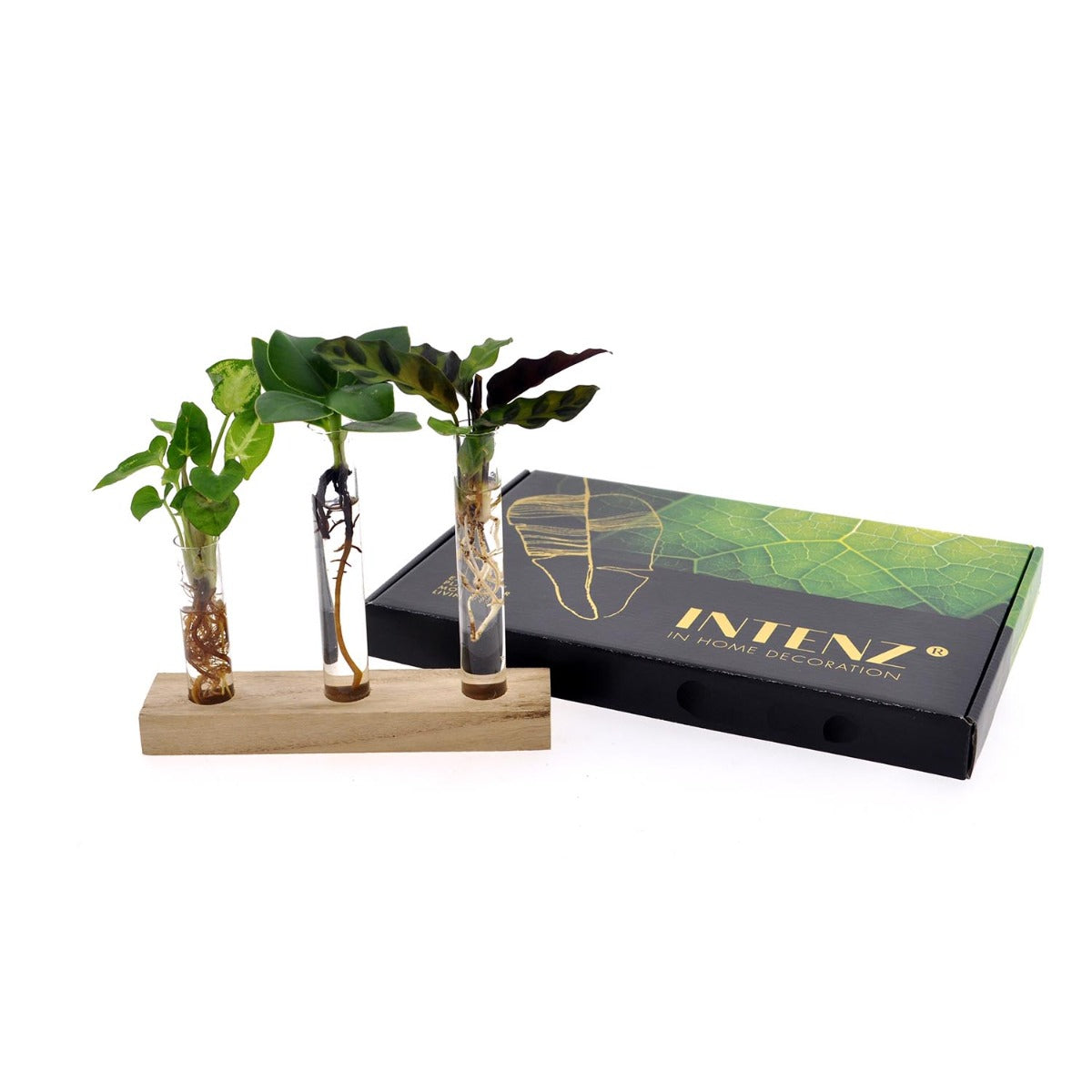 Mix Idroponico Zen - 291077