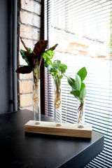 Mix Idroponico Zen - 291077