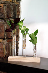 Mix Idroponico Zen - 291077