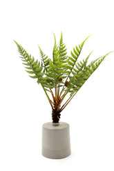 Felce pianta finta da appartamento: piante artificiali di qualità - 232003