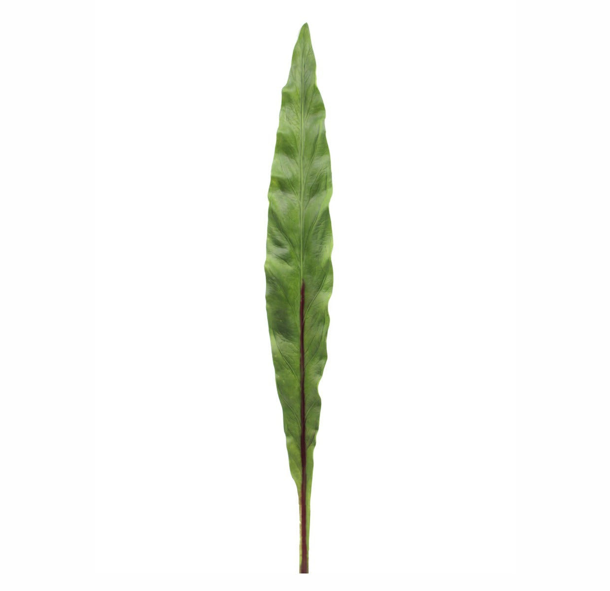 Foglia Asplenium finta: piante artificiali di qualità - 93057