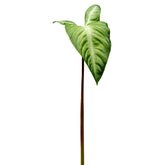 Foglia Artificiale di Alocasia H85 L50 | Foglie Artificiali di Qualità - 232998