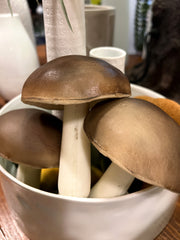 Fungo Artificiale H12 D9 cm - Decorazione Ultra Realistica