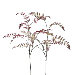 Ramo di Felce Autunnale - 231936
