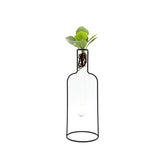 Clusia Idro Bottle Silhouette | Piante idroponiche in vasi di design Limited Edition - idro-27323