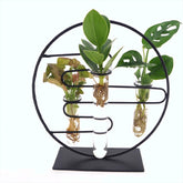 Mix Iron Idro | Piante idroponiche su struttura in ferro a forma di cerchio - mix-iron-idro