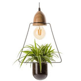 Lampada Vegetale | Lampada a Sospensione con Vaso Portapianta - 18536