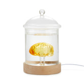 Lampada da tavolo Brain in Vetro - 27338