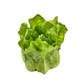 Lattuga Romana artificiale PVC H14 D12 | Frutta e verdura finta - 250656