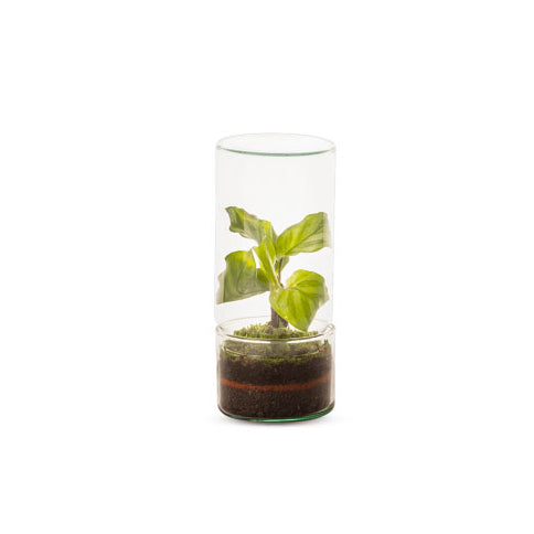 Bomboniere Eco Friendly | Terrarium Green Tower - terrarium-green-tower
