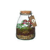 Bomboniera Green | Mini Terrarium in vasetto di vetro con tappo di sughero - HAR_L1RY00