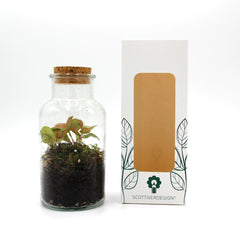 Mini Terrarium in bottiglia - HAR_KAXO00