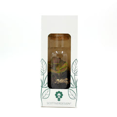 Mini Terrarium in bottiglia - HAR_KAXO00