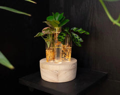 Mix piante idroponiche su base LED - mix_led_idro