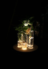 Mix piante idroponiche su base LED - mix_led_idro