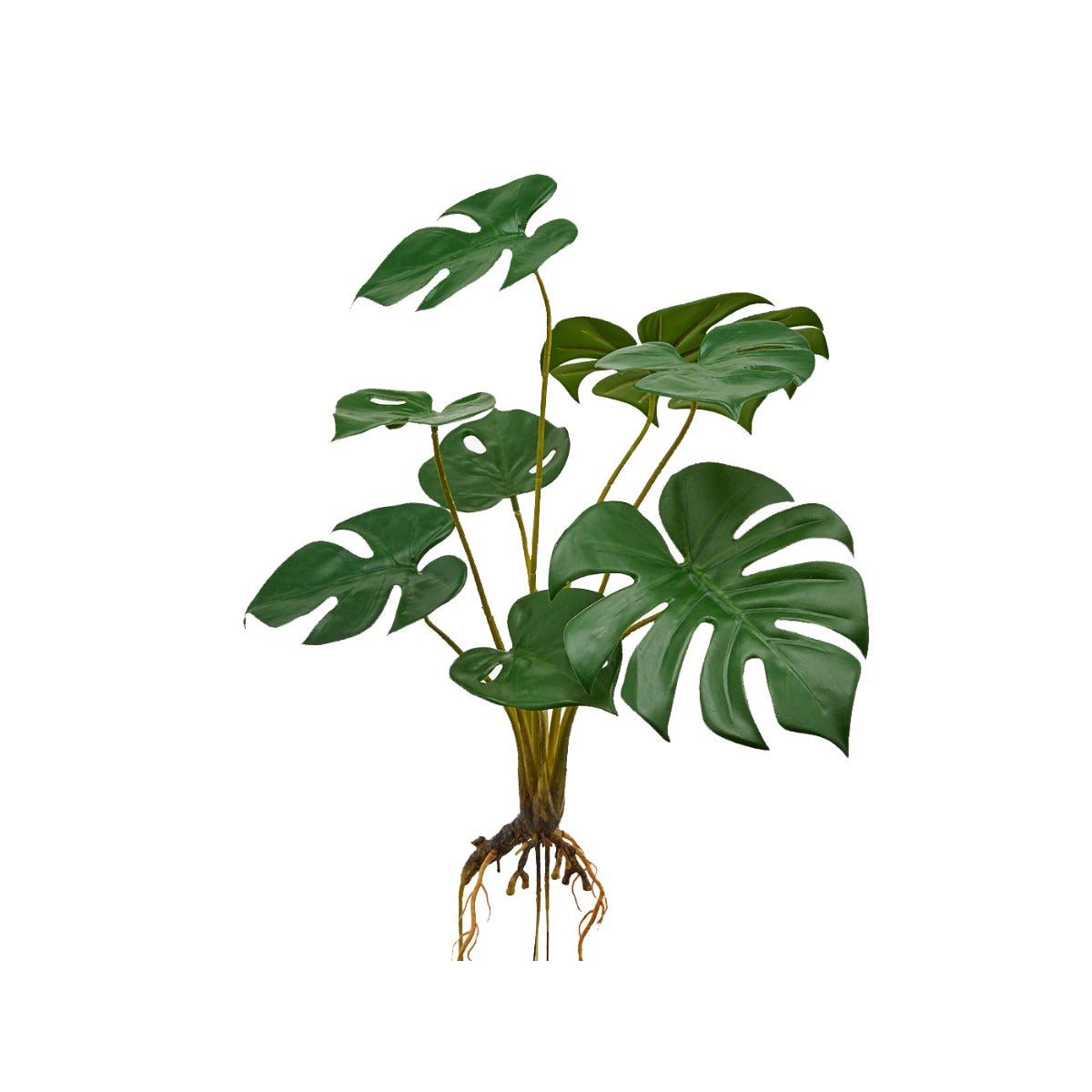 Pianta artificiale di Monstera con radici - 232400