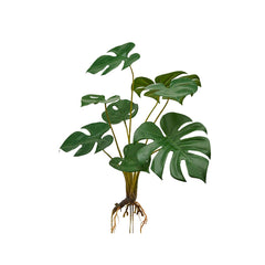 Pianta artificiale di Monstera con radici - 232400