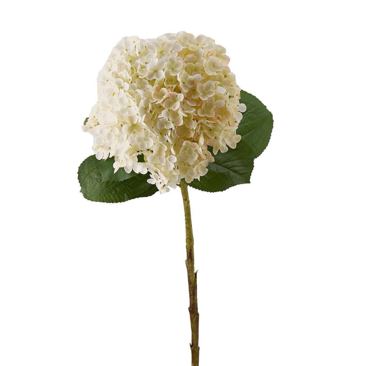 Ortensia artificiale Giant rosa cipria H75 - 214809-54