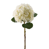 Ortensia artificiale Giant bianca H75 - 214809-12