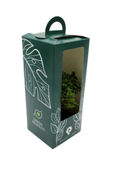 Bomboniere green: Bonsai varietà assortite in vaso - Misto Bonsai