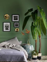 Alocasia Calidora artificiale Real Touch - 232465