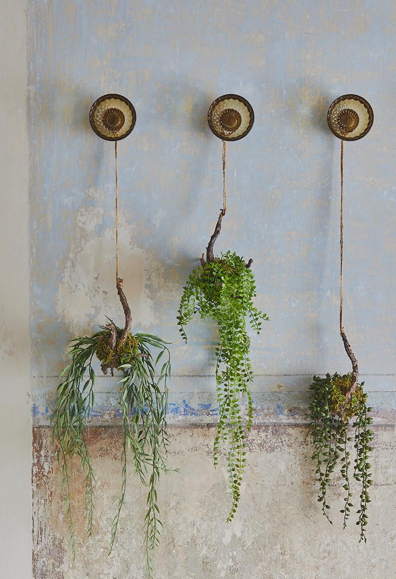 Salice cadente da appendere H58 - 232386