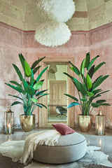 Strelitzia Artificiale doppia H245 - 231940