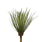 Bush di Yucca Baccata artificiale H36 - 232424