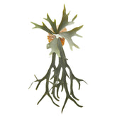 Pianta Artificiale di Platycerium con Radici H66 | Piante Artificiali di Qualità - 2300275A700