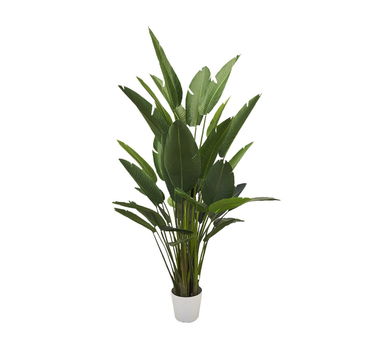 Strelitzia Artificiale doppia H245 - 231940