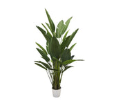 Strelitzia Artificiale doppia H245 - 231940