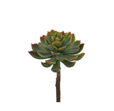 Pianta artificiale di Echeveria Alata - 232229
