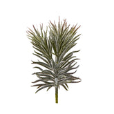 Pianta Succulent Olis Pick H18 | Piante succulente artificiali - 232974