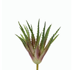 Cespuglio di Aloe Scura: piante artificiali di qualità - 231658,74