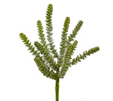 Pianta Sedum Logan artificiale : Piante succulente artificiali - 231420-88