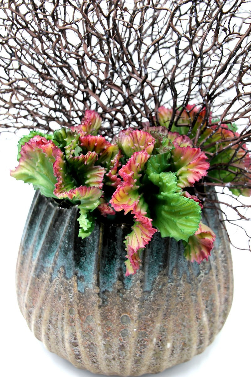 Euphorbia Crestata Artificiale - 232205