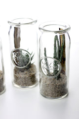 Bomboniere green: Mix piantine grasse in barattolo di vetro - GRASS & GLASS JAR